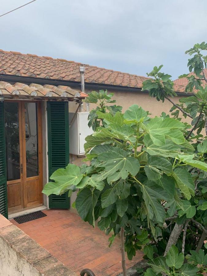 Casale Falcone - Calamoresca Piombino Kültér fotó